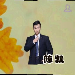 陈凯